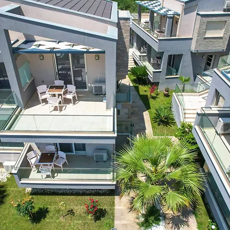 Vereya 크리시 아모우디아