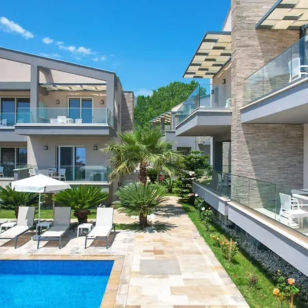 Vereya 크리시 아모우디아